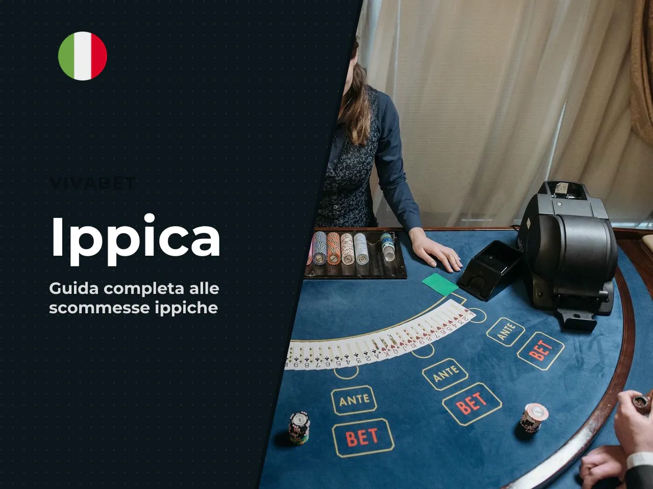 Differenza tra ippica, quote e risultati su Vivabet